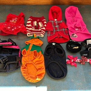Misc dog clothes and accessories